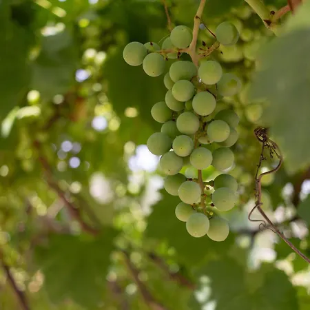 Corallo House 게스트하우스 3*